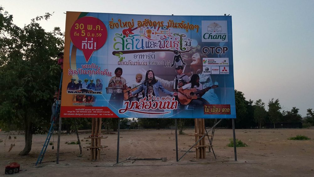สีสันและพันธ์ไม้