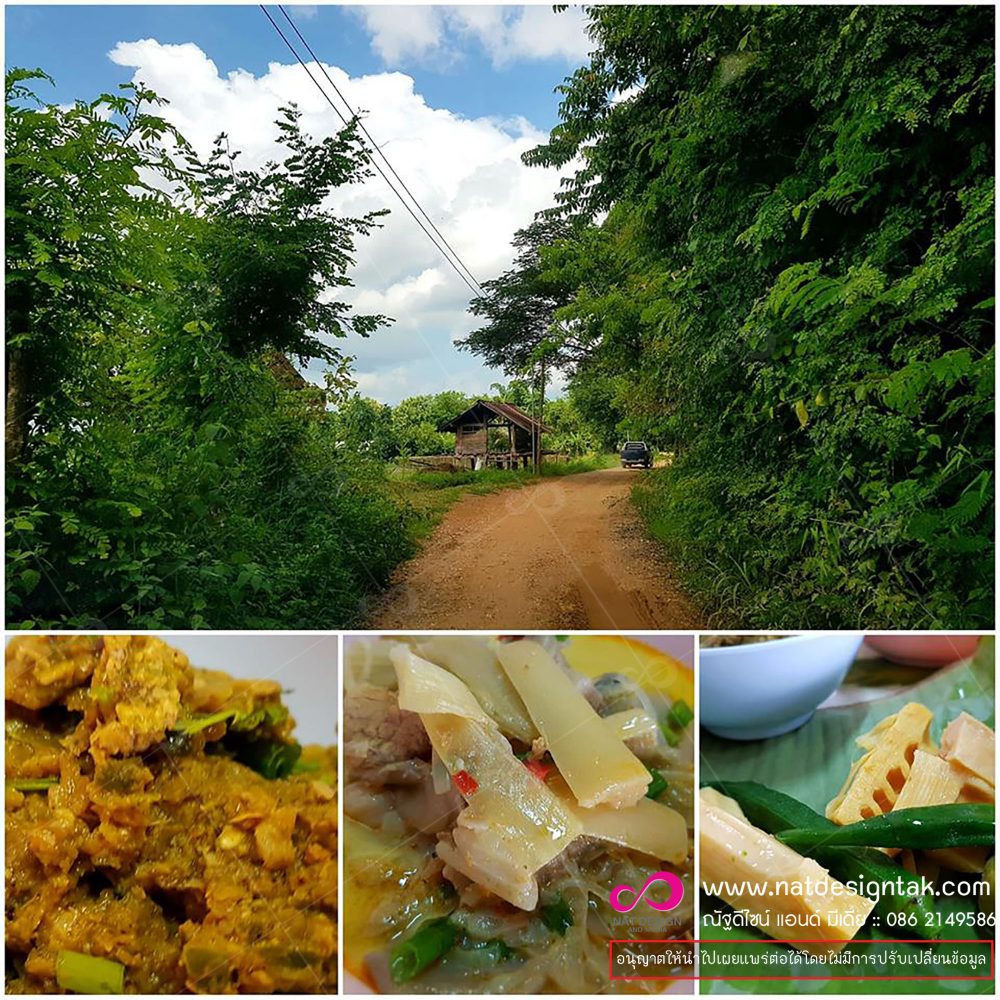 อาหารถิ่นรสไทยแท้ (OTOP Authentic Thai Taste) โครงการชุมชนท่องเที่ยว OTOP นวัตวิถี