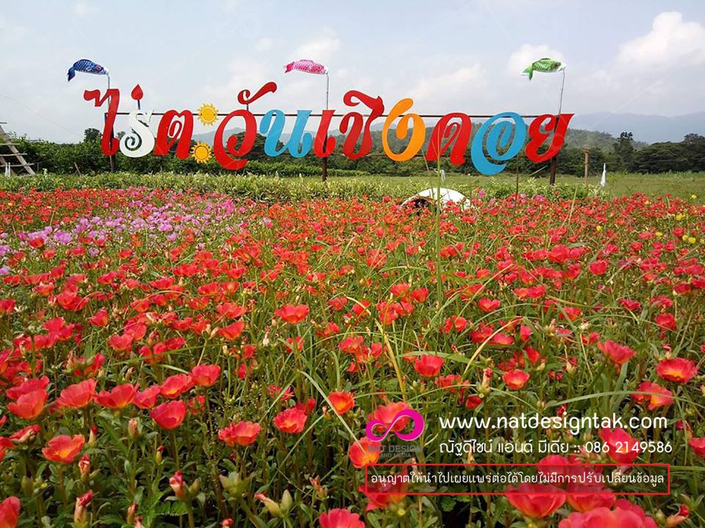 สั่งตัดป้ายตัวอักษรพลาสวูด พร้อมออกแบบและจัดส่งทุกจังหวัด