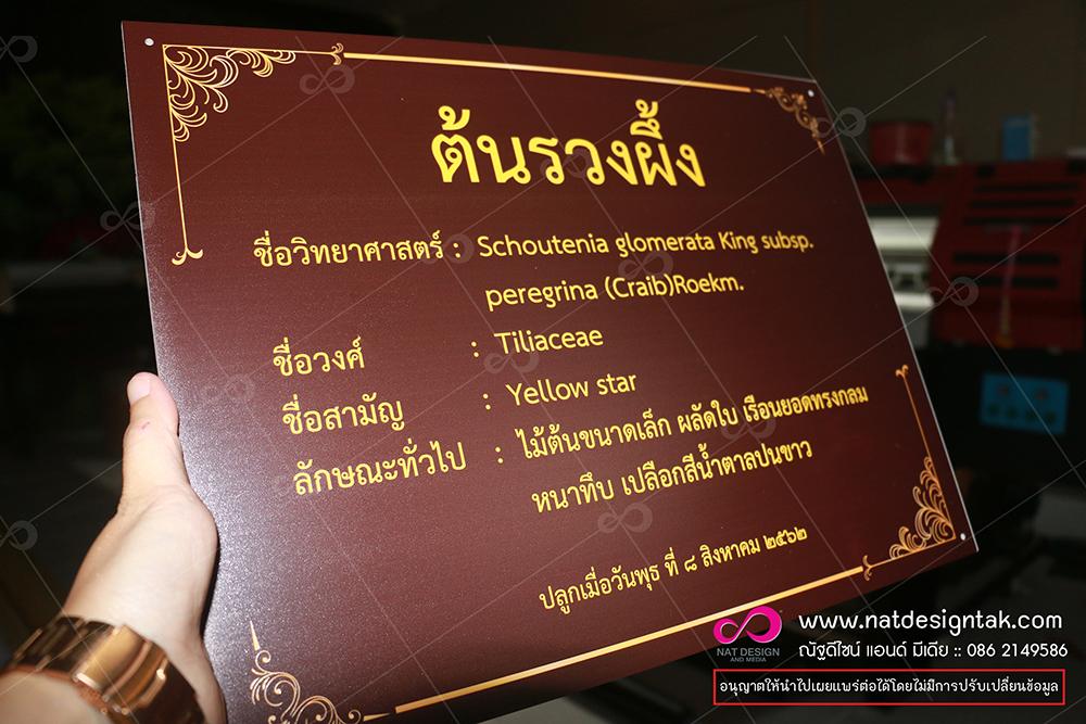 ป้ายชื่อต้นรวงผึ้ง