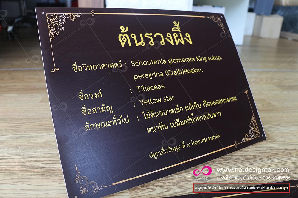 รับทำป้ายชื่อต้นไม้