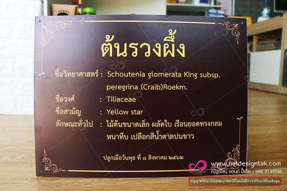 ป้ายชื่อต้นไม้สั่งทำ