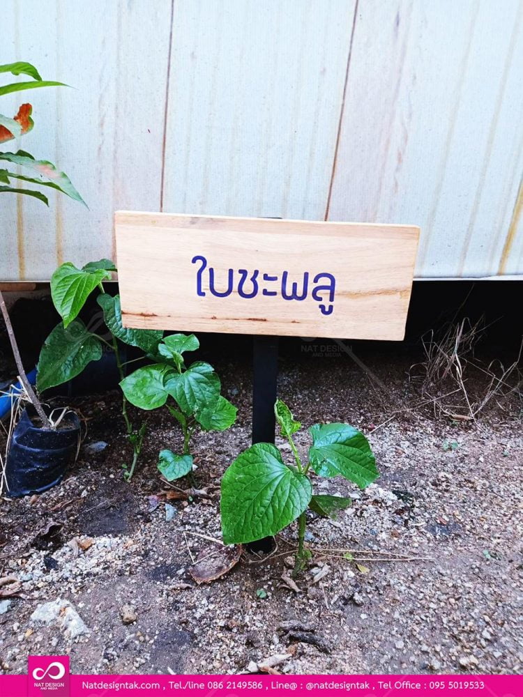 รับทำป้ายชื่อต้นไม้ พรรณไม้ ตามแบบมาตรฐานหรือตามขนาดที่ลูกค้าต้องการ มีหลากหลายรูปแบบทั้งแขวนและปักดินและหลายวัสดุ ตามงบประมาณของลูกค้า ยินดีให้คำปรึกษา
