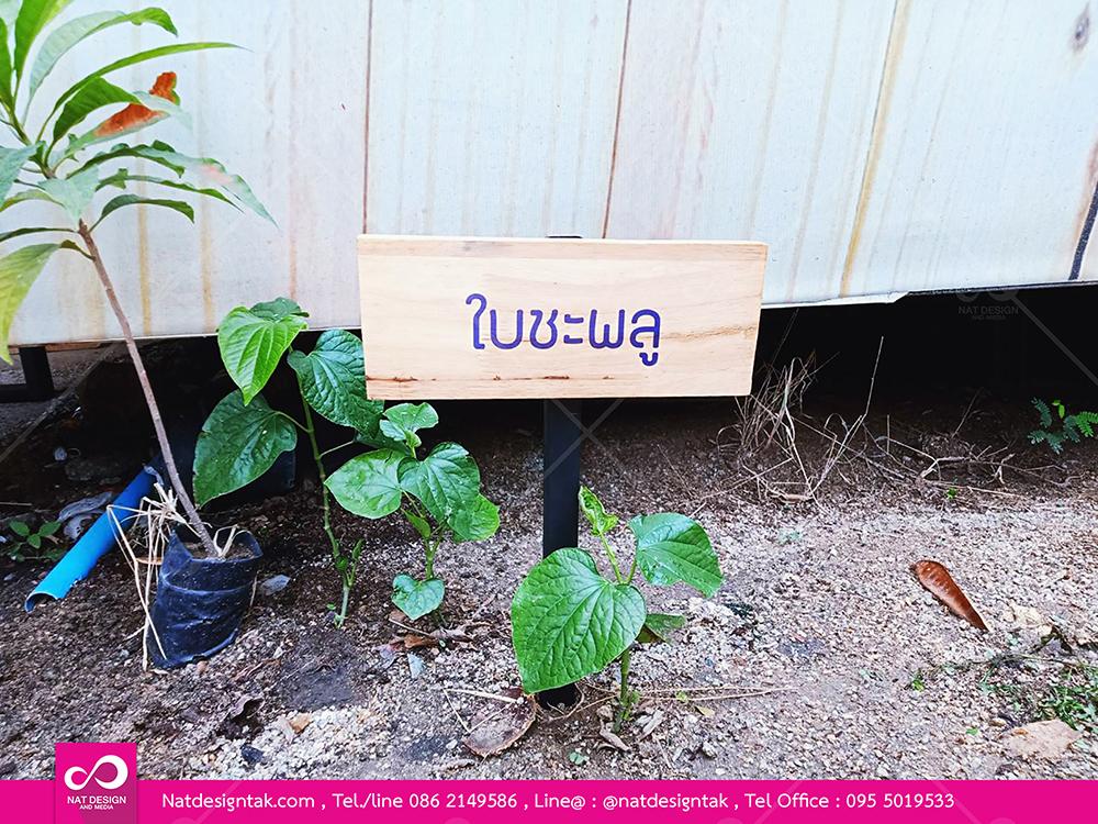 รับทำ ป้ายไม้ติดต้นไม้พร้อมระบุชื่อผู้ปลูก ชื่อต้นไม้และเสา ป้ายชื่อสำหรับต้นไม้แบบปัก ตามแบบ ราคาไม่แพง