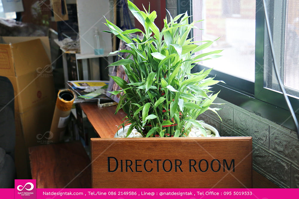 เลเซอร์ป้ายไม้Director room