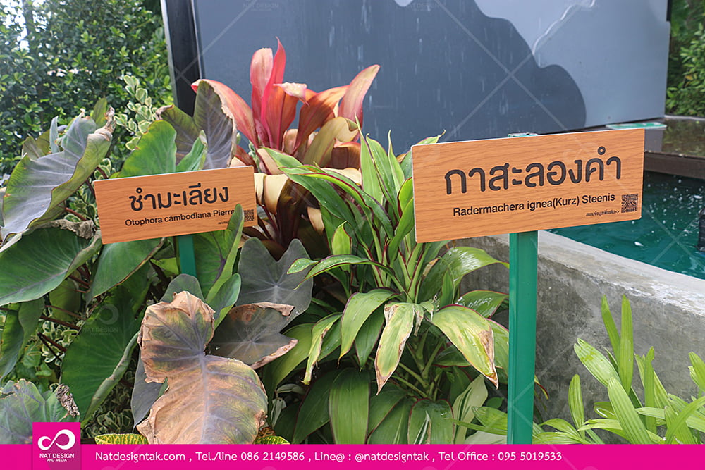 ป้ายชื่อต้นไม้แผ่นคอมโพสิตลายไม้
