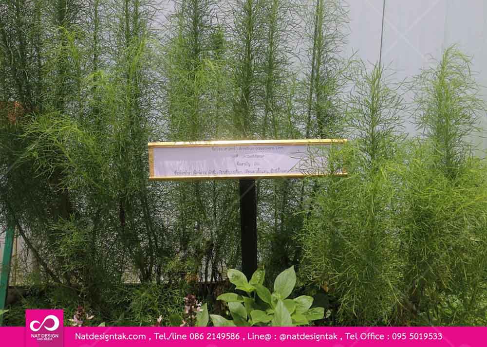 ป้ายชื่อต้นไม้ รางเลื่อน