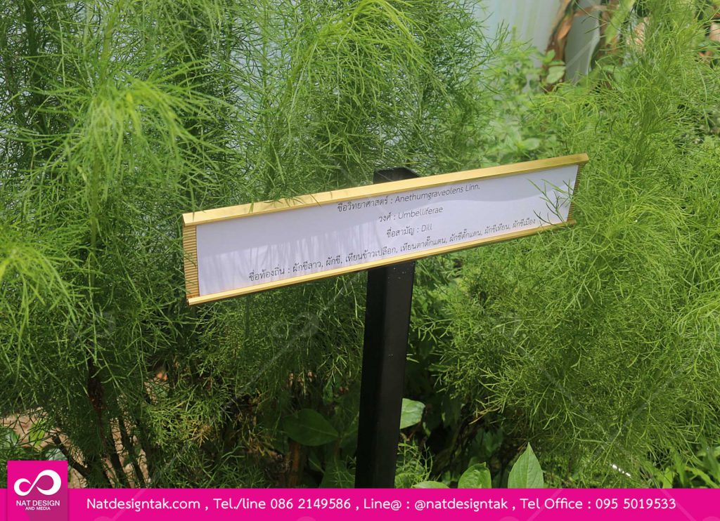 ป้ายชื่อต้นไม้ รางเลื่อน