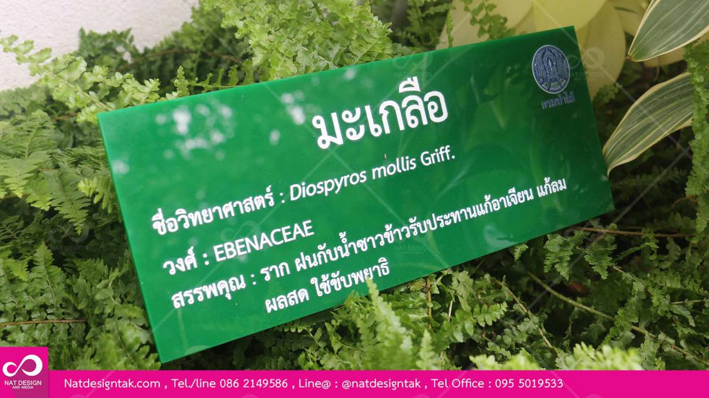ป้ายชื่อต้นไม้อะคริลิคพิมพ์ยูวี