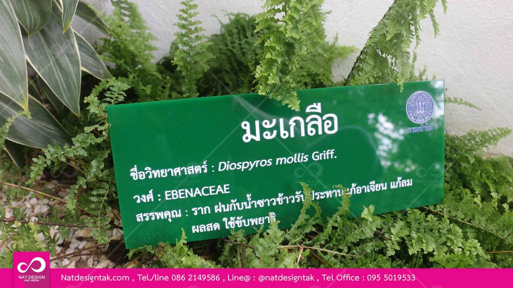 ป้ายชื่อต้นไม้อะคริลิคพิมพ์ยูวี