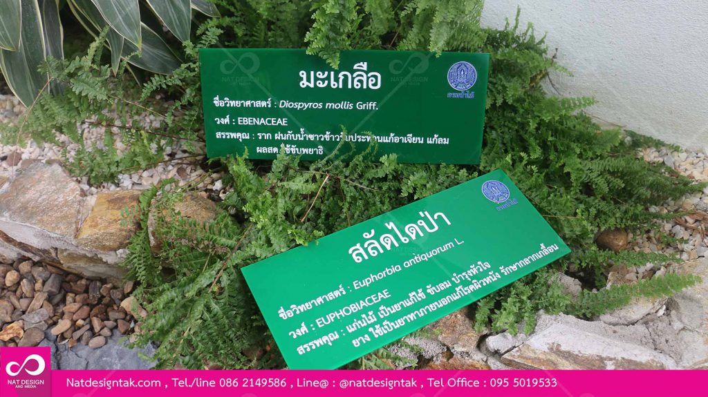 ป้ายชื่อต้นไม้อะคริลิคพิมพ์ยูวี