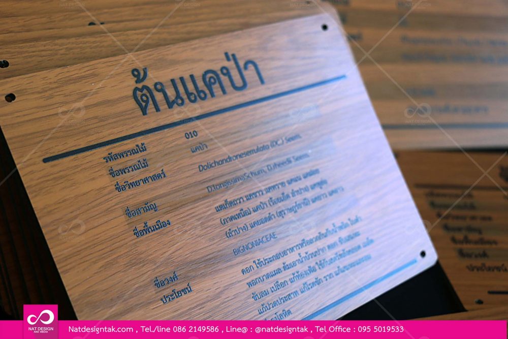 ป้ายชื่อต้นไม้สวยๆ