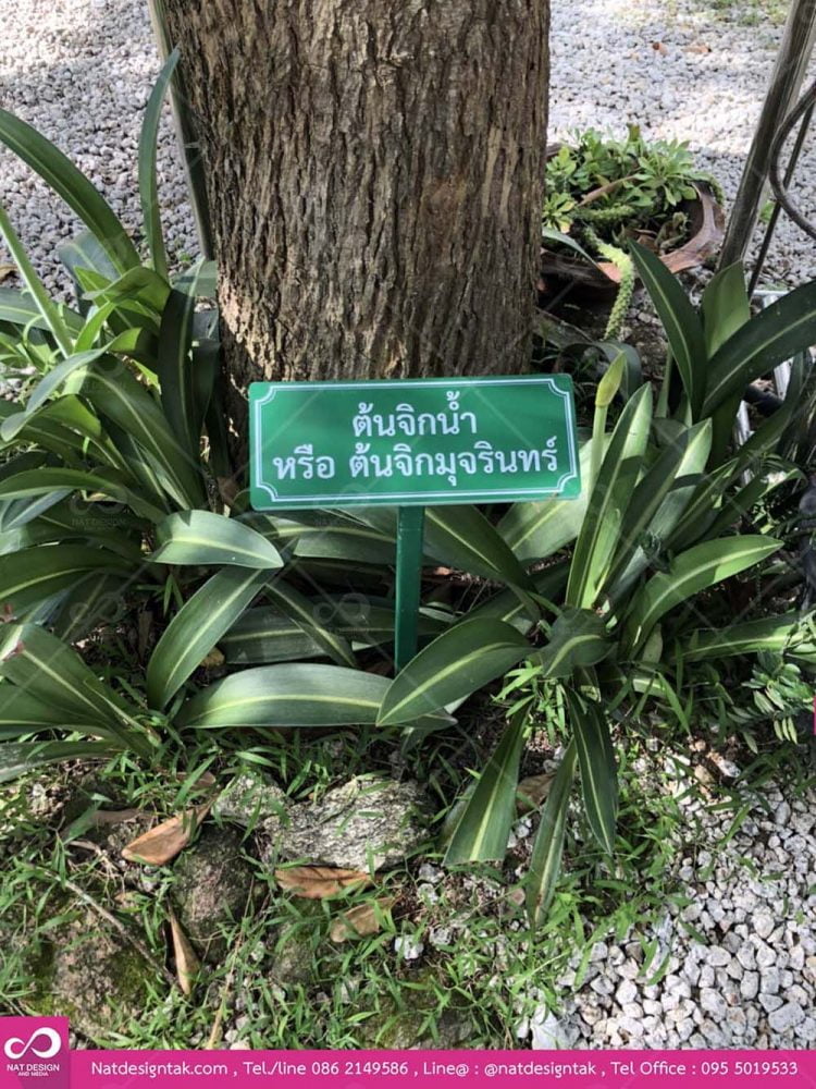 ป้ายชื่อต้นไม้สวยๆ