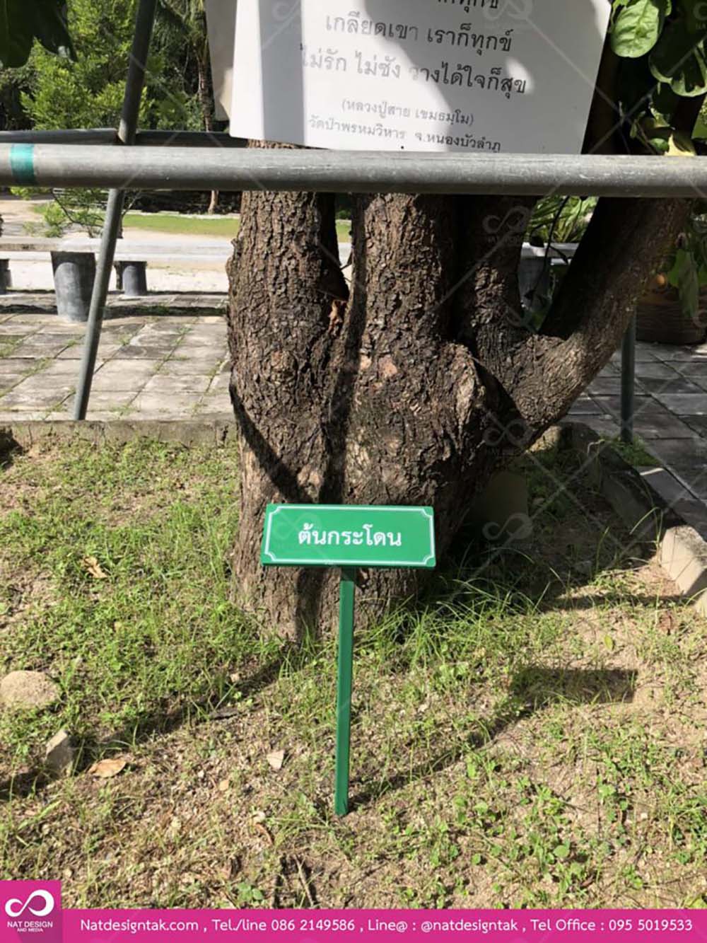 รับทำป้ายชื่อต้นไม้