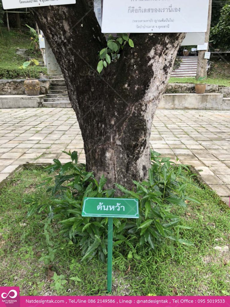 ตัวอย่างป้ายพรรณไม้