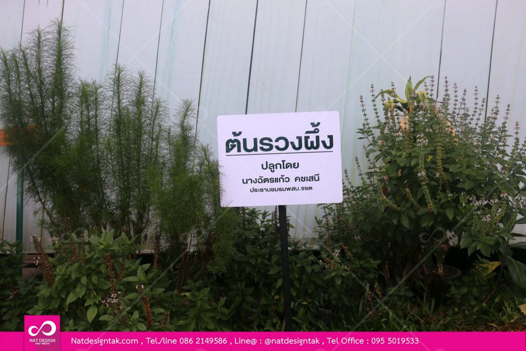 ป้ายชื่อต้นไม้ราคาถูก พร้อมเสาตั้ง