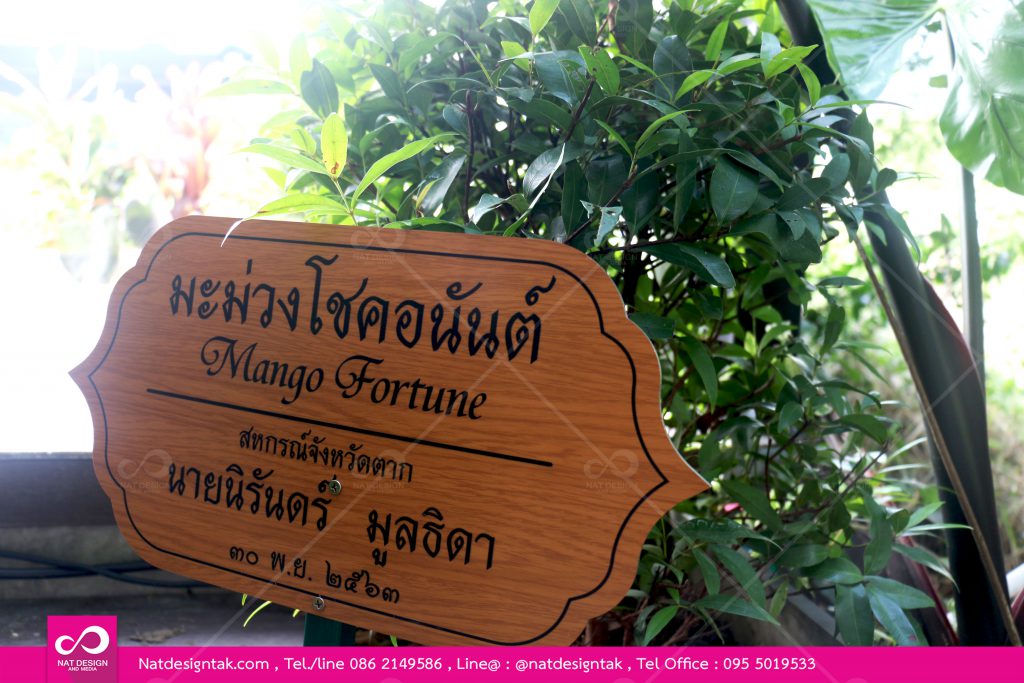 ป้ายต้นไม้ มะม่วงโชคอนันต์