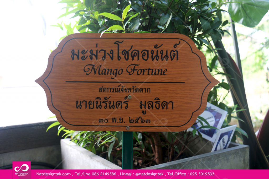ป้ายต้นไม้ มะม่วงโชคอนันต์