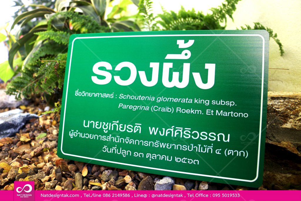 ป้ายชื่อพรรณไม้พลาสวูดพิมพ์ยูวี