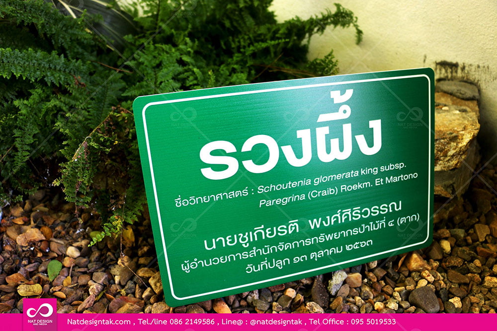 ป้ายชื่อพรรณไม้พลาสวูดพิมพ์ยูวี