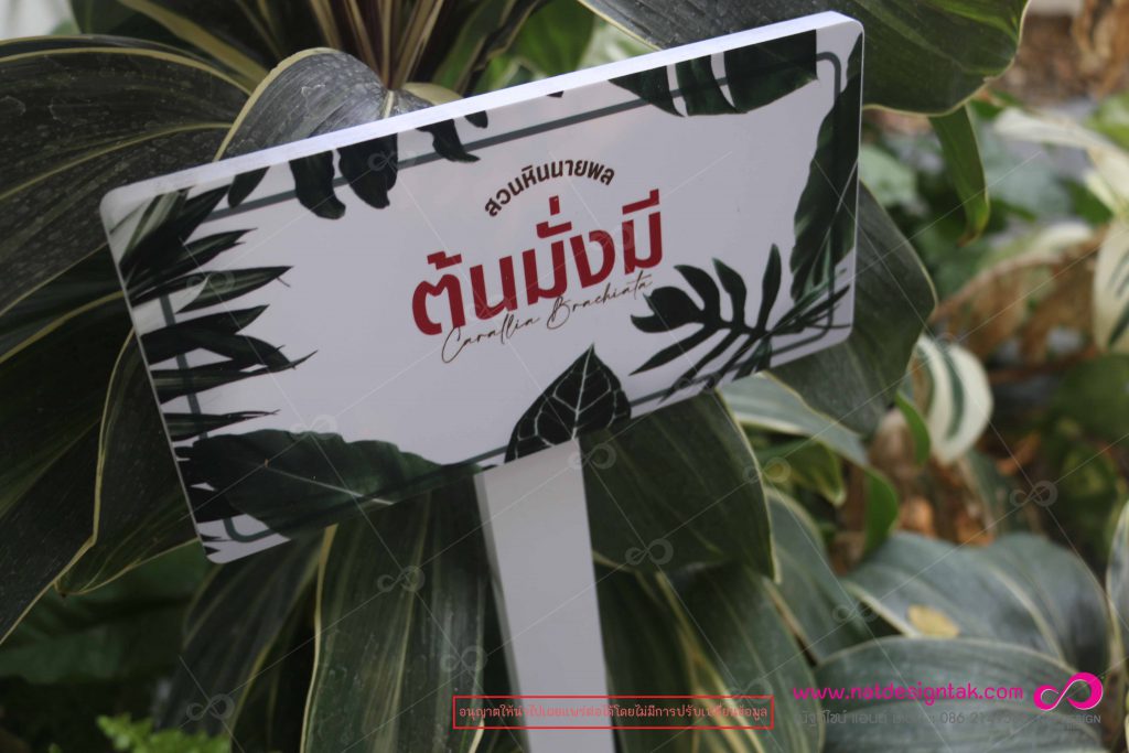 ป้ายชื่อต้นไม้ พรรณไม้