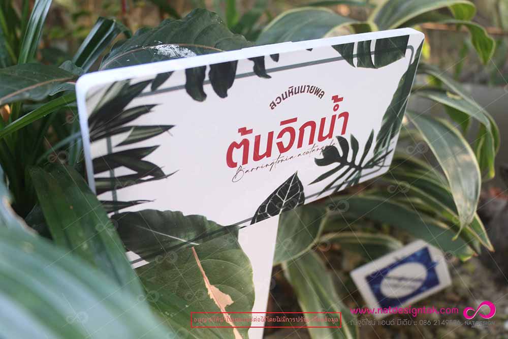 ป้ายชื่อต้นไม้