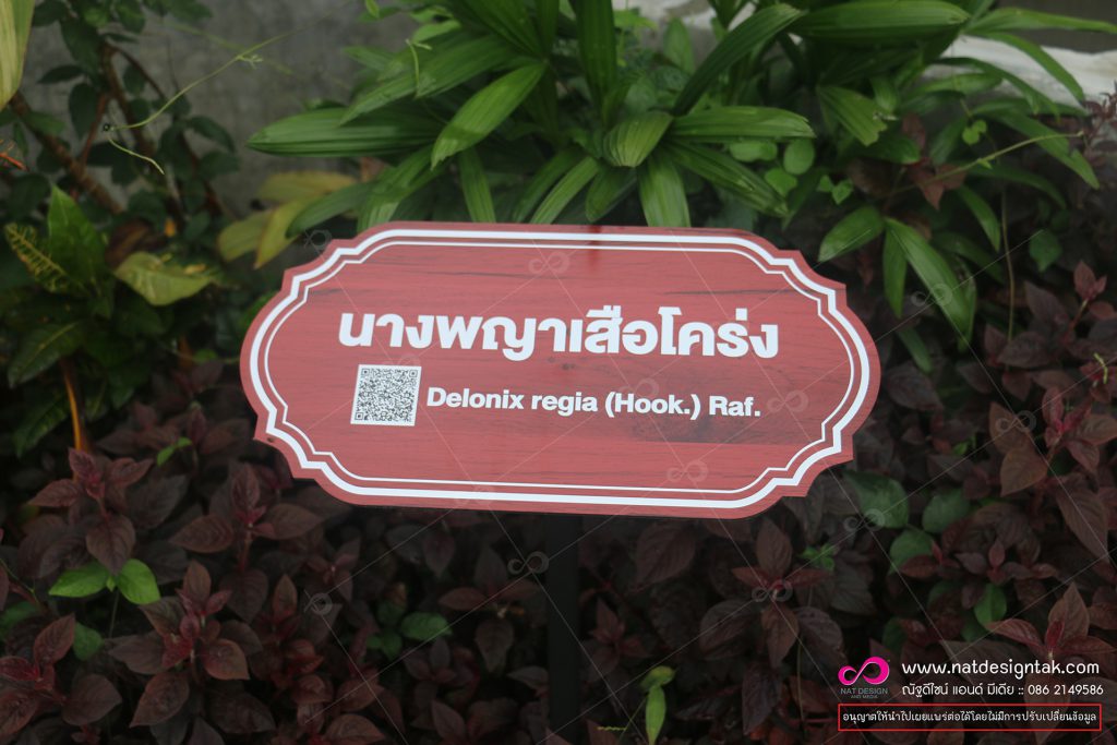 ป้ายชื่อต้นไม้ นางพญาเสือโคร่ง