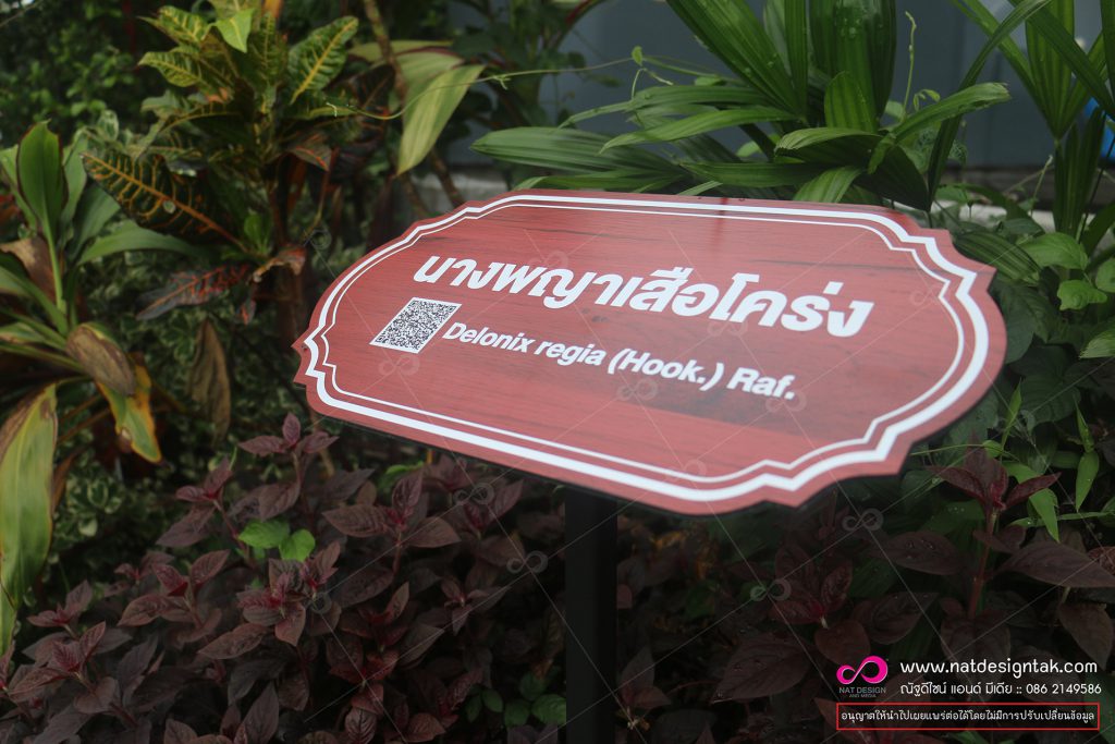 ป้ายชื่อต้นไม้ นางพญาเสือโคร่ง