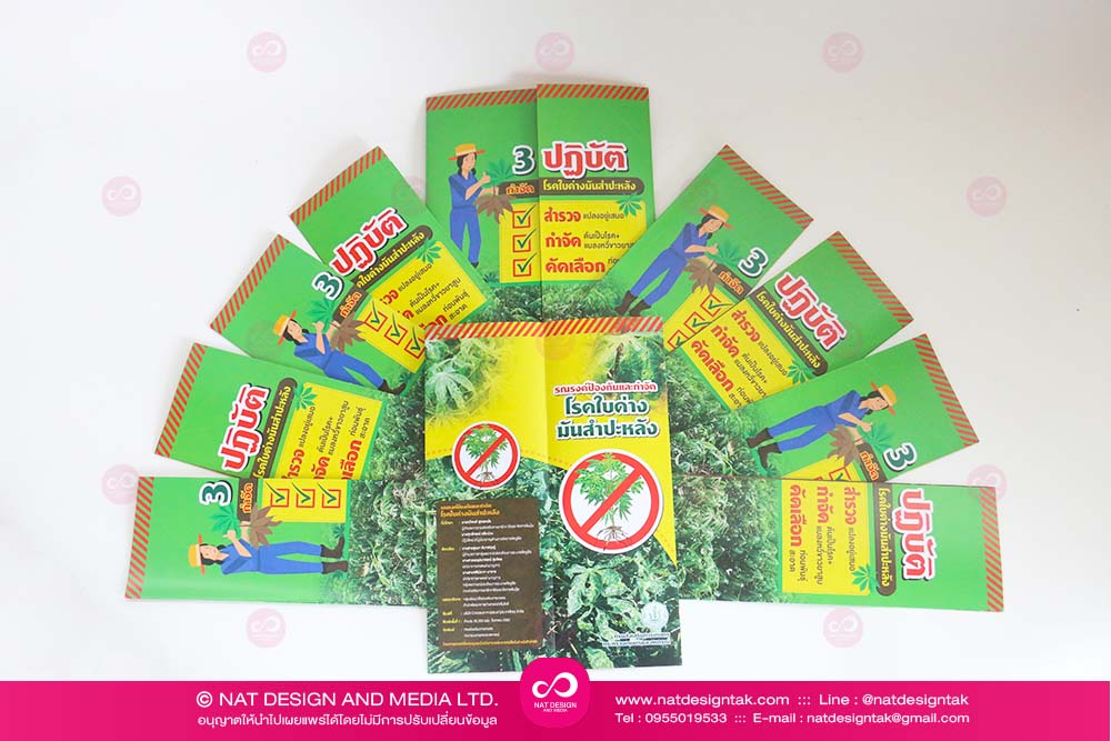 ออกแบบพร้อมผลิต แผ่นพับ