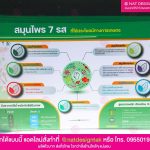 ไวนิลสมุนไพร 7 รส