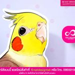 นกพลาสวูด