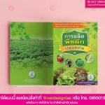 การผลิตพืชผักปลอดภัย