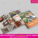 หนังสือบ้านท่าพระธาตุ