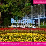 ตัวอักษร BlueZone