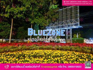 ตัวอักษร BlueZone