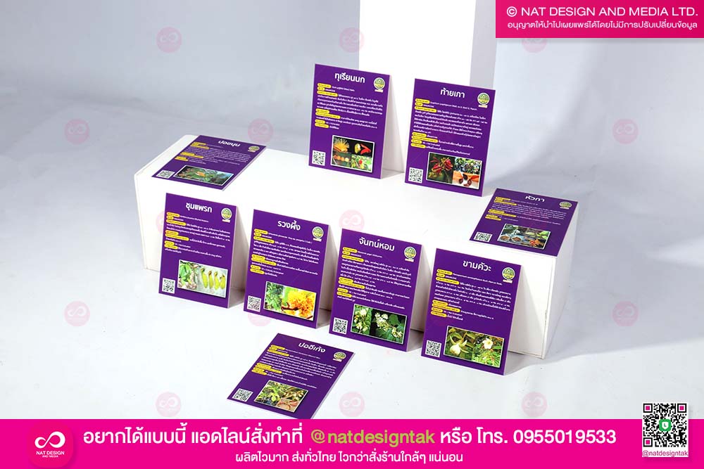 ป้ายต้นไม้ อะคริลิคสีม่วง