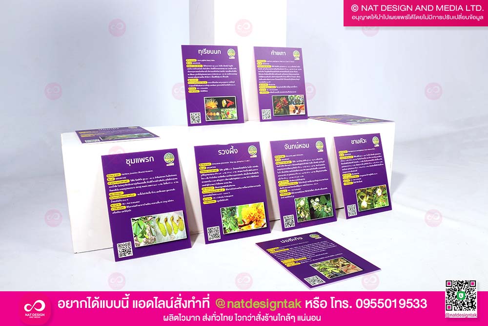 ป้ายชื่อต้นไม้ พร้อมรายละเอียด