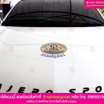 แผ่นแม่เหล็ก กรมปสุสัตว์