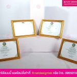 เกียรติบัตร พร้อมกรอบ