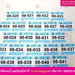 ตัวเลขติดเสื้อ