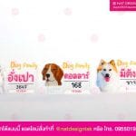 ป้ายชื่อสัตว์เลี้ยง