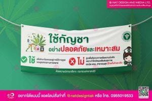 ไวนิลกัญชา
