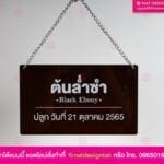 ป้ายชื่อต้นไม้มงคล