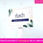 ป้ายชื่อต้นไม้ พิมพ์ยูวี