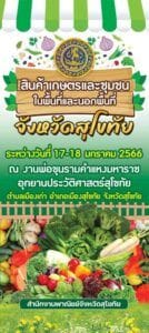 งานวันพ่อขุนรามคำแหง