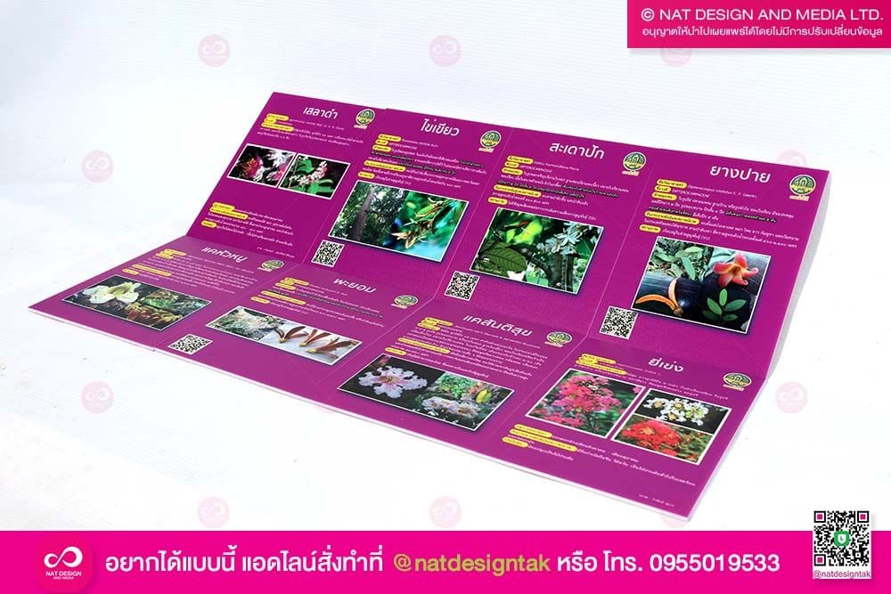 ป้ายพรรณไม้อะคริลิค