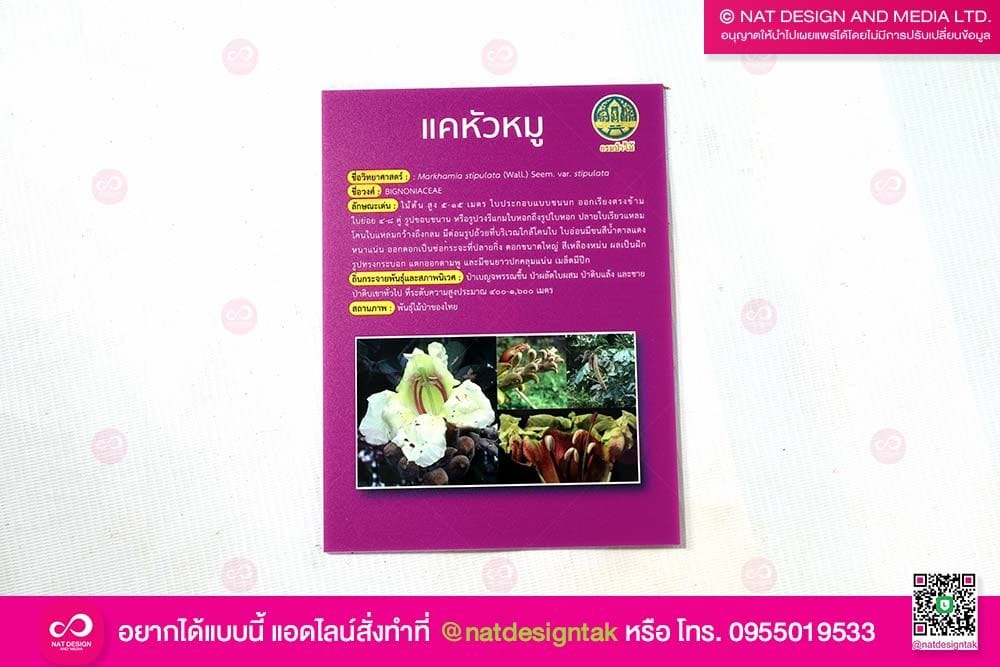 ป้ายชื่อดอกไม้ พรรณไม้