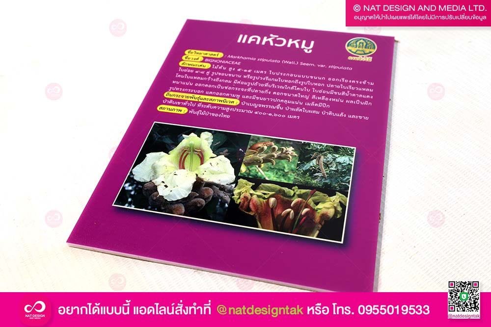 ออกแบบ และผลิตป้ายชื่อต้นไม้