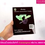 ป้ายชื่อต้นไม้ กรมป่าไม้