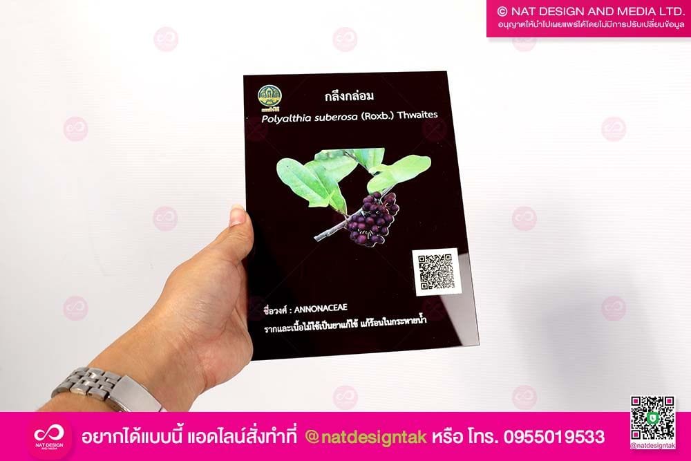 ป้ายชื่อต้นไม้ กรมป่าไม้